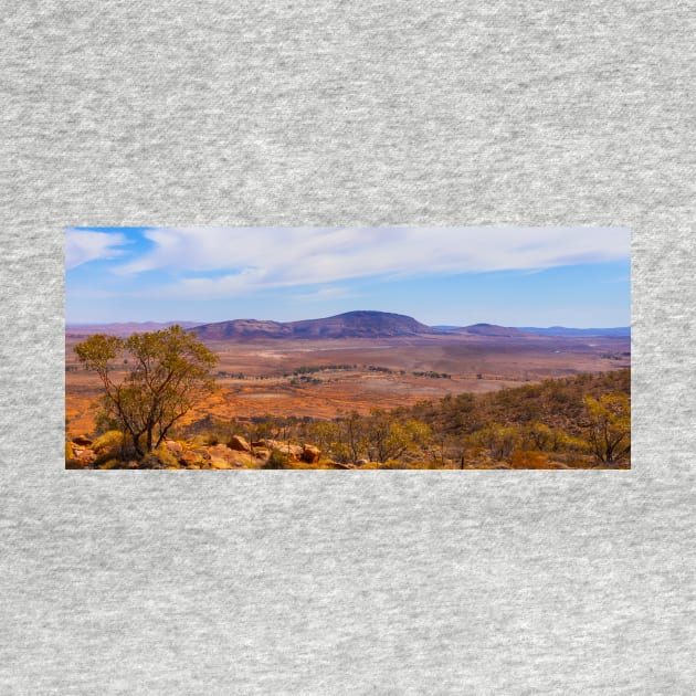 Flinders Ranges Panorama_9389A-PANO by seadogprints